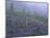Lupine and Foggy Bistort Meadow, Mt. Rainier National Park, Washington, USA-Jamie & Judy Wild-Mounted Photographic Print