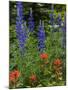 Lupine and Indian Paintbrush Wildflowers, Stillwater State Forest, Montana-Chuck Haney-Mounted Photographic Print