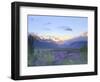 Lupine and the Main Divide, Arthur's Pass, South Island, New Zealand-Rob Tilley-Framed Photographic Print