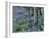 Lupine and White Oak in the Columbia Gorge, Oregon, USA-Chuck Haney-Framed Photographic Print