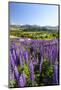 Lupine Field, Coyhaique, Aysen, Chile-Fredrik Norrsell-Mounted Photographic Print