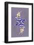 Lupine flower, Napa Valley, California-Adam Jones-Framed Photographic Print