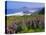 Lupine Flowers and Rugged Coastline along Southern Oregon, USA-Adam Jones-Stretched Canvas