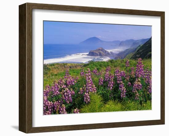 Lupine Flowers and Rugged Coastline along Southern Oregon, USA-Adam Jones-Framed Premium Photographic Print