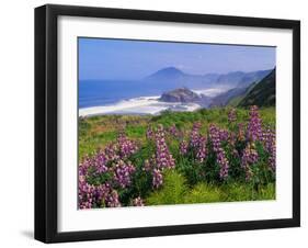 Lupine Flowers and Rugged Coastline along Southern Oregon, USA-Adam Jones-Framed Premium Photographic Print