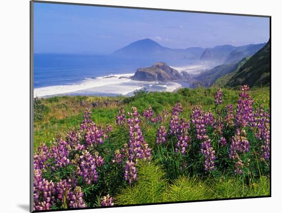 Lupine Flowers and Rugged Coastline along Southern Oregon, USA-Adam Jones-Mounted Premium Photographic Print