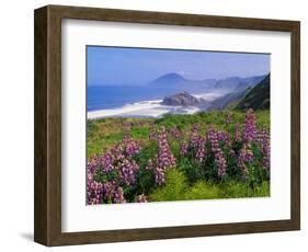 Lupine Flowers and Rugged Coastline along Southern Oregon, USA-Adam Jones-Framed Photographic Print