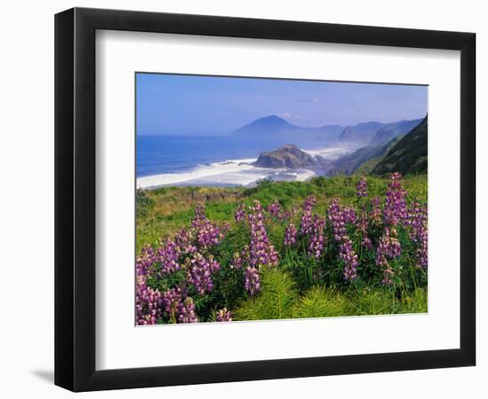 Lupine Flowers and Rugged Coastline along Southern Oregon, USA-Adam Jones-Framed Photographic Print