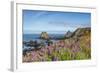 Lupine flowers cover the hills above the beach, California, USA-Chuck Haney-Framed Photographic Print