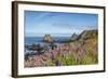 Lupine flowers cover the hills above the beach, California, USA-Chuck Haney-Framed Photographic Print