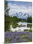 Lupine Flowers with the Teton Mountains in the Background-Howie Garber-Mounted Photographic Print