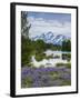 Lupine Flowers with the Teton Mountains in the Background-Howie Garber-Framed Photographic Print