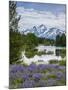 Lupine Flowers with the Teton Mountains in the Background-Howie Garber-Mounted Photographic Print