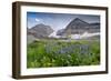 Lupine, Lupinus, Mount Timpanogos. Uinta-Wasatch-Cache Nf-Howie Garber-Framed Photographic Print