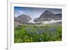 Lupine, Lupinus, Mount Timpanogos. Uinta-Wasatch-Cache Nf-Howie Garber-Framed Photographic Print