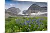 Lupine, Lupinus, Mount Timpanogos. Uinta-Wasatch-Cache Nf-Howie Garber-Mounted Photographic Print