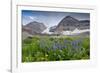 Lupine, Lupinus, Mount Timpanogos. Uinta-Wasatch-Cache Nf-Howie Garber-Framed Photographic Print