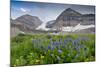 Lupine, Lupinus, Mount Timpanogos. Uinta-Wasatch-Cache Nf-Howie Garber-Mounted Photographic Print