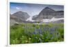 Lupine, Lupinus, Mount Timpanogos. Uinta-Wasatch-Cache Nf-Howie Garber-Framed Photographic Print