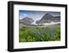 Lupine, Lupinus, Mount Timpanogos. Uinta-Wasatch-Cache Nf-Howie Garber-Framed Premium Photographic Print