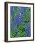 Lupine Wildflowers, Montana, USA-Chuck Haney-Framed Photographic Print