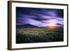 Lupines, Myrdalssandur, South Coast, Iceland-Ragnar Th Sigurdsson-Framed Photographic Print