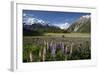 Lupins and Mount Cook, Mount Cook Village, Mount Cook National Park-Stuart Black-Framed Photographic Print