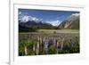 Lupins and Mount Cook, Mount Cook Village, Mount Cook National Park-Stuart Black-Framed Photographic Print