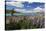Lupins Beside Lake, Lake Tekapo, Canterbury Region, South Island, New Zealand, Pacific-Stuart Black-Stretched Canvas