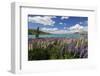 Lupins Beside Lake, Lake Tekapo, Canterbury Region, South Island, New Zealand, Pacific-Stuart Black-Framed Photographic Print