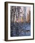 Lupus Dawn-Graeme Stevenson-Framed Giclee Print