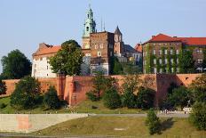 Wawelcathedral on the Wawel Hill in Krakow (Cracow)-luq-Framed Photographic Print