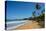 Luquillo Beach, Puerto Rico, West Indies, Caribbean, Central America-Michael Runkel-Stretched Canvas