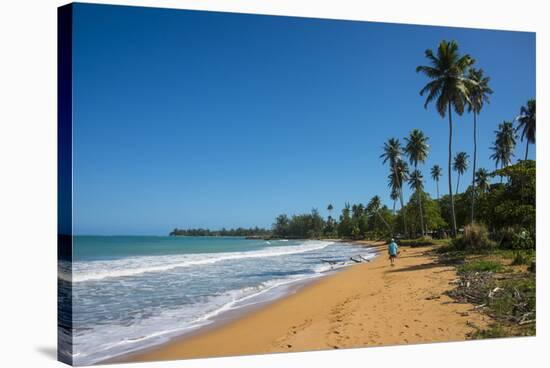 Luquillo Beach, Puerto Rico, West Indies, Caribbean, Central America-Michael Runkel-Stretched Canvas