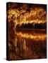 Luray Caverns, Luray, Virginia, USA-Charles Gurche-Stretched Canvas