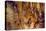 Luray Caverns, Virginia-RR-Stretched Canvas