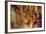 Luray Caverns, Virginia-RR-Framed Photographic Print