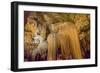 Luray Caverns, Virginia-RR-Framed Photographic Print