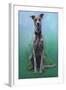 Lurcher Jaeger-Karie-Ann Cooper-Framed Giclee Print