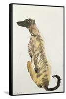 Lurcher Sitting, 1988-Lucy Willis-Framed Stretched Canvas