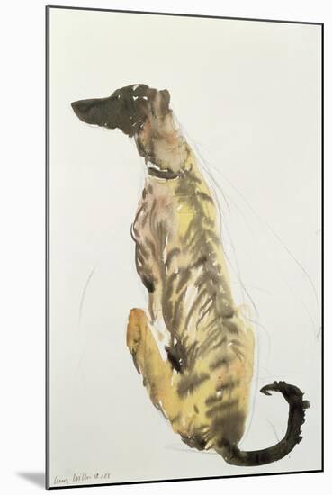 Lurcher Sitting, 1988-Lucy Willis-Mounted Giclee Print