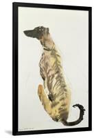 Lurcher Sitting, 1988-Lucy Willis-Framed Giclee Print