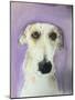 Lurcher-Sally Muir-Mounted Giclee Print