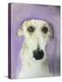 Lurcher-Sally Muir-Stretched Canvas