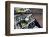 Lures & Bait in Tackle Box Rod-null-Framed Art Print