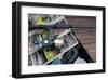 Lures & Bait in Tackle Box Rod-null-Framed Art Print