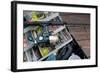 Lures & Bait in Tackle Box Rod-null-Framed Art Print