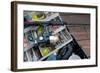 Lures & Bait in Tackle Box Rod-null-Framed Art Print