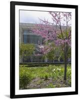 Lurie Garden and Art Institute of Chicago, Millennium Park, Chicago, Illinois, USA-Amanda Hall-Framed Photographic Print