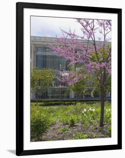 Lurie Garden and Art Institute of Chicago, Millennium Park, Chicago, Illinois, USA-Amanda Hall-Framed Photographic Print